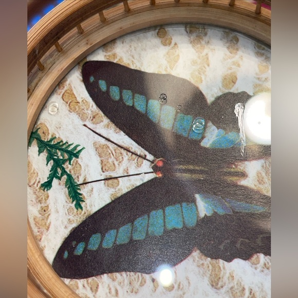 Vintage Bamboo/Rattan/Glass pressed flower & Butterfly tray/coaster set 7 pcs - Picture 15 of 16